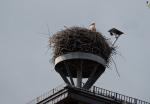 Unter Beobachtung