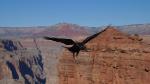 Grand Canyon West Rim