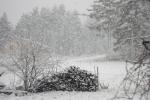 Es wird Winter
