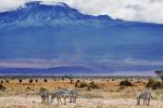 Amboseli