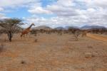 Samburu NP