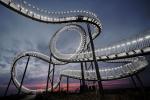 Tiger & Turtle