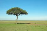 Masai Mara