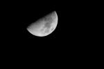 Mond2