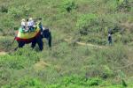 Elefant