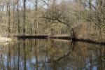 Tour um den de Wittsee oder Nex-7 mit SEL18-200