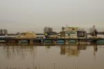 Hochwasser am Rhein