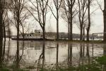 Hochwasser am Rhein