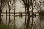 Hochwasser am Rhein