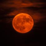 Erdbeermond 11.Juni 2025