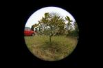 Fisheye