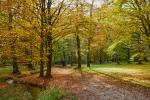 Herbst-16