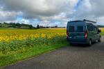 Tour de France Blumen