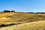 Val D’Orcia 1