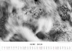 Kalender 2018 Juni