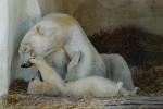 Mutter und Sohn