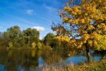 Neckar-Herbst 01