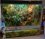 Paludarium