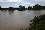 Hochwasser Ilvesheim2