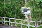 Borneo Orang rahbilitation camp
