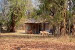 Makutsi Voortrekkers