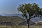 Makutsi Voortrekkers