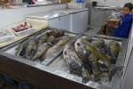 Manaus Fischmarkt