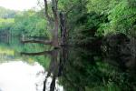 Amazon Turtle lodge Landschaft