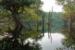 Amazon Turtle lodge Landschaft