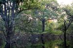 Amazon Turtle lodge Landschaft