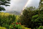 Regenbogen im Regenwald