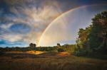 Regenbogen in der Heide