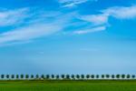 Irgendwo in Holland 2