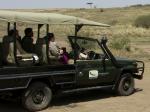 offener Safariwagen