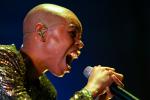 Skunk Anansie I