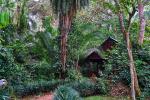 Kibale Forest Lodge