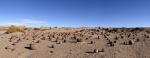 Valle de la Luna - Argentinien