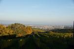 Weinberge um Wien II