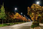 Herbst in der Nacht