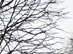 Test Sigma 15-30/3.5-4.5 EX DG