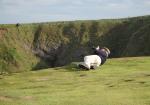 near Dunnottar