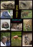 Kolner Zoo