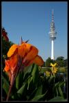 Fernsehturm