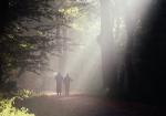 Jogger im Nebel