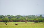 Nyerere Nationalpark