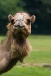 TierparkBerlin_1