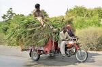 Lasten-Moped 8