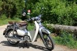 Super Cub