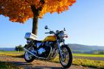 Bikerherbst