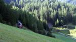Albula 1